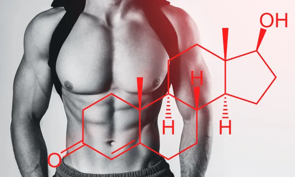 Androgen-Estrogen Ratio vs. Total Hormones in Men's Health